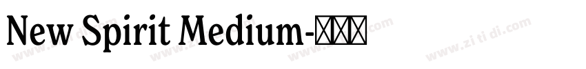 New Spirit Medium字体转换
